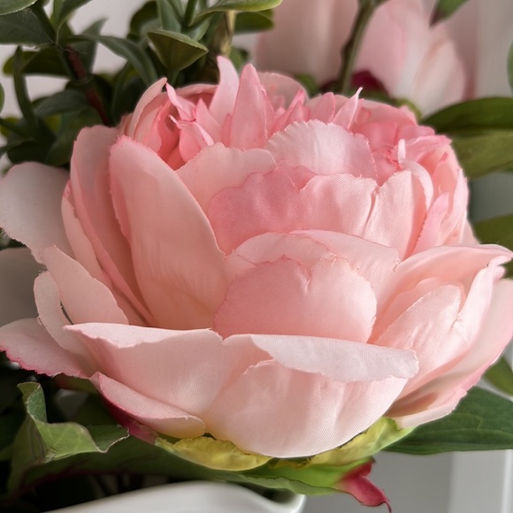 Meet your Posher, Karen - Picture 5 of 5